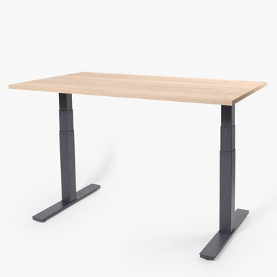 123HomeOffice - Hoff Hubert Tischrahmen - Standing Desks - Schwarz - Wackelfrei Dank 3 - Fach Säulung & Belastbar bis 120kg - 10 Jahre Produktgarantie - 123HomeOffice